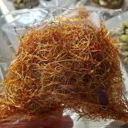 ریشه پرسرخ زعفران