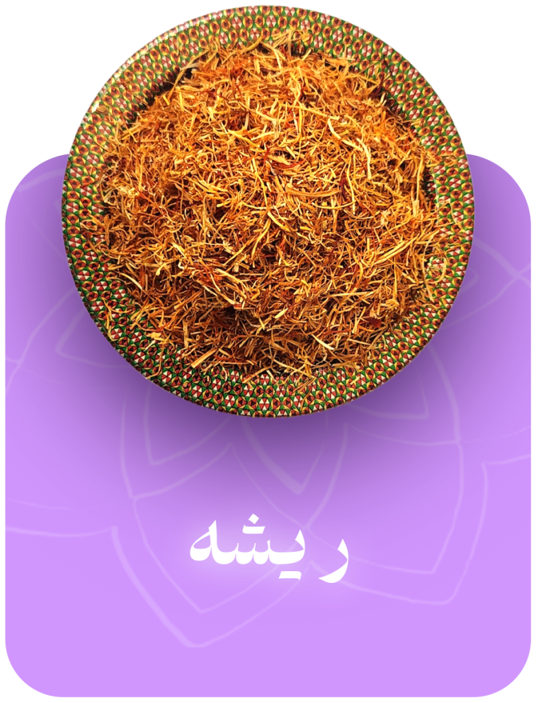 ریشه زعفران